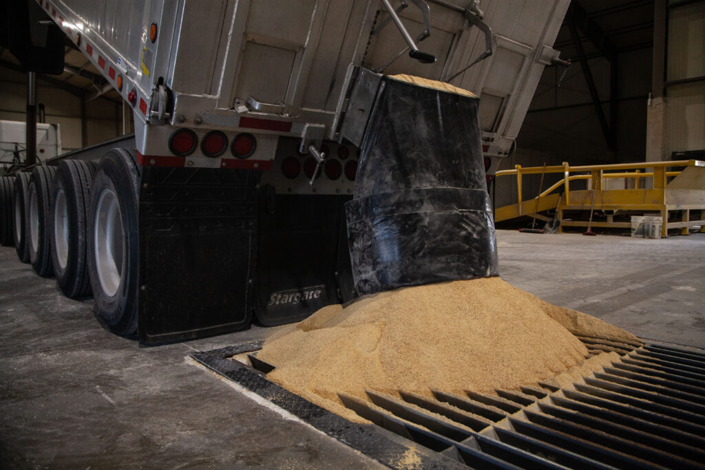 Feed Commodities & Ingredients